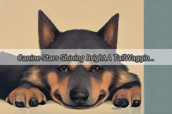 Canine Stars Shining Bright A TailWagging Roundup of DogLover TV Shows